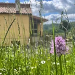 Casa Sibilla Le Castellare Daire *