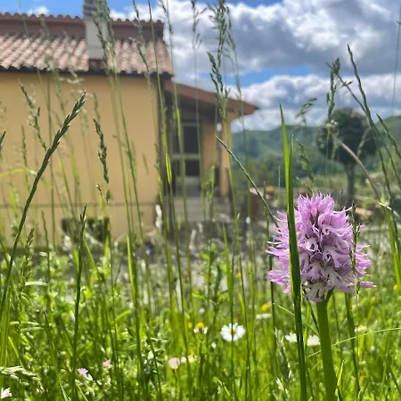 Casa Sibilla Le Castellare Apartment *
