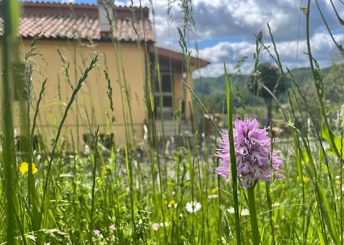 Casa Sibilla Le Castellare Appartamento *