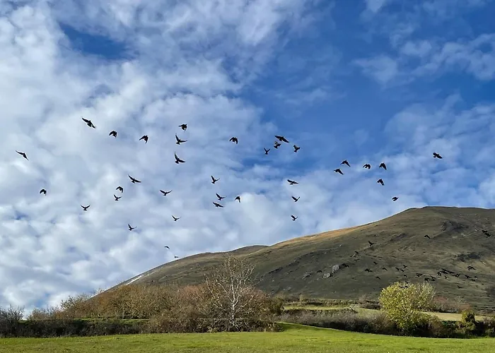 Casa Sibilla Le Castellare * Rubbiano (Fermo)